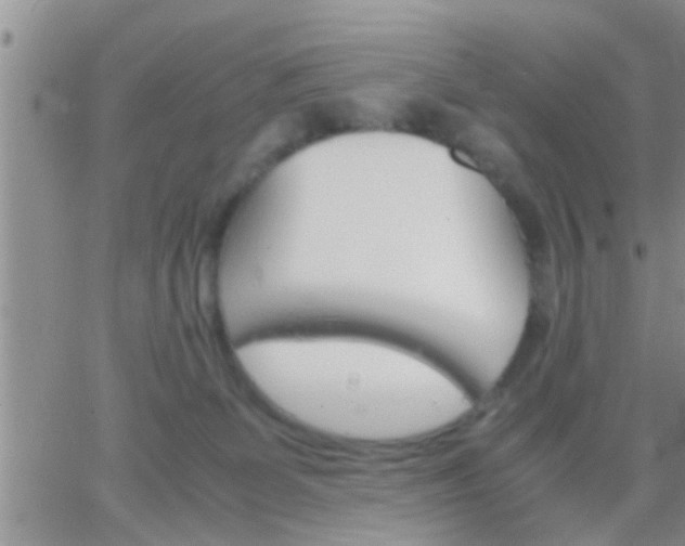 X0000065250131200602242059