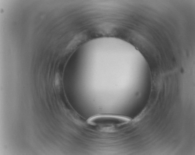 X0000065250132200602242059