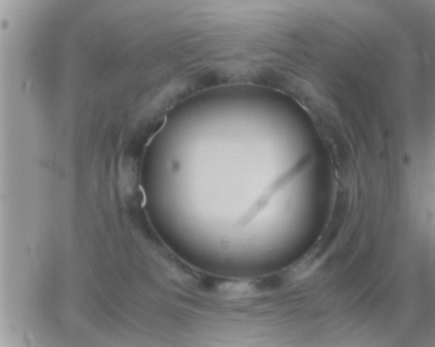 X0000065250133200602242059