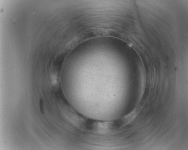 X0000065250134200602242059