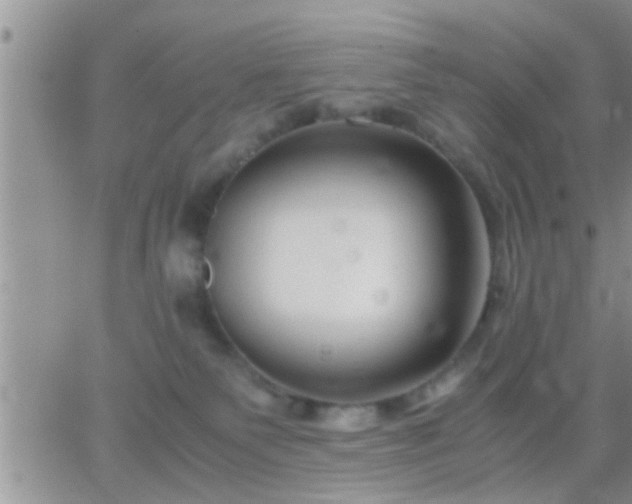 X0000065250135200602242059