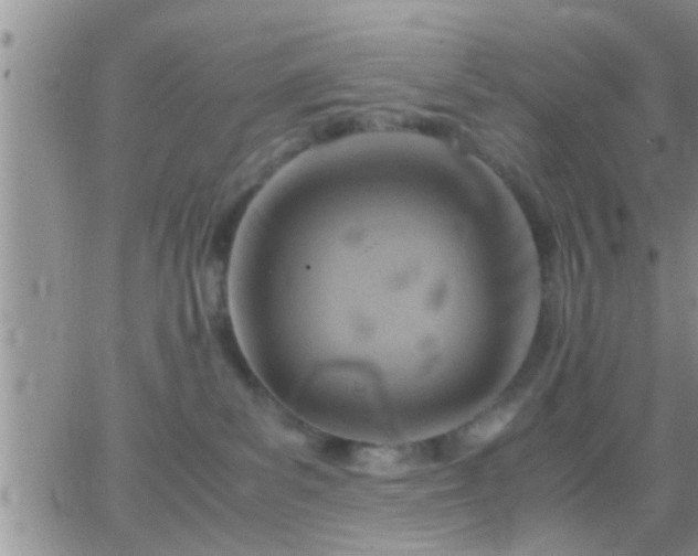 X0000065250139200602242059