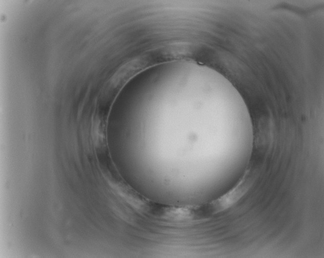 X0000065250140200602242059