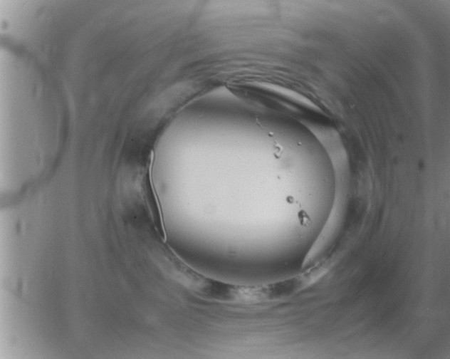 X0000065250141200602242059