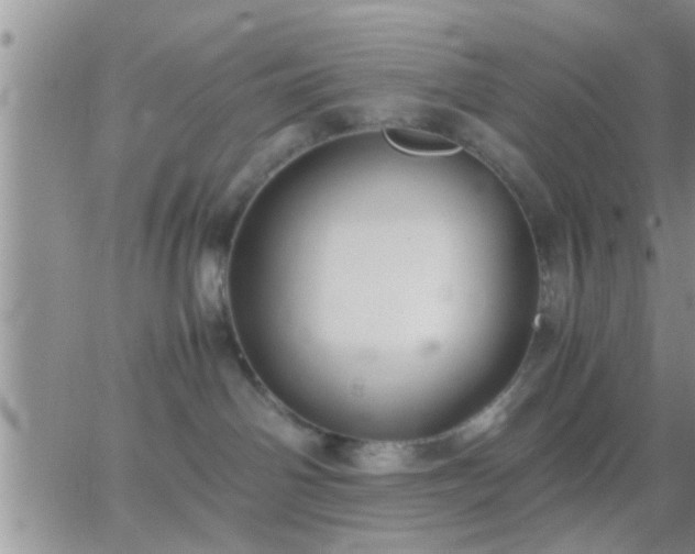 X0000065250142200602242059