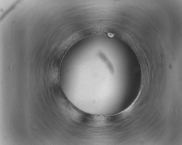 X0000065250144200602242059