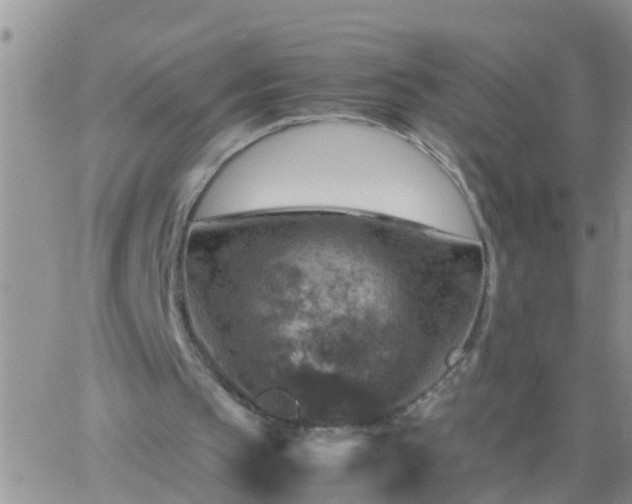 X0000065250145200602242058