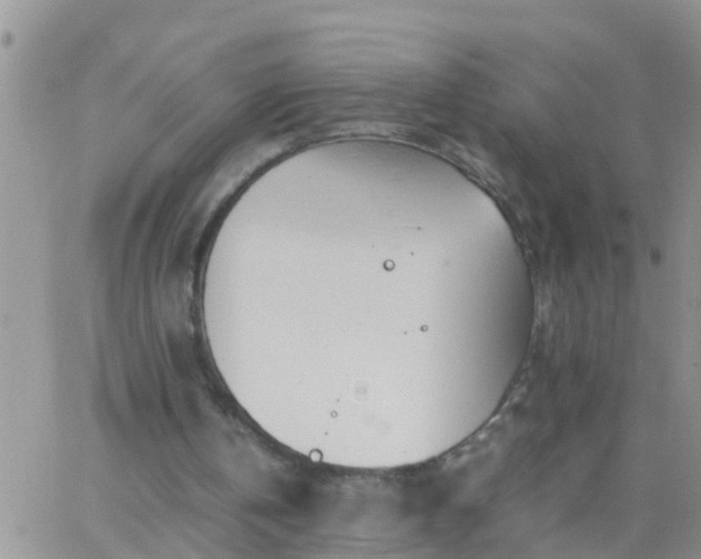 X0000065250146200602242058