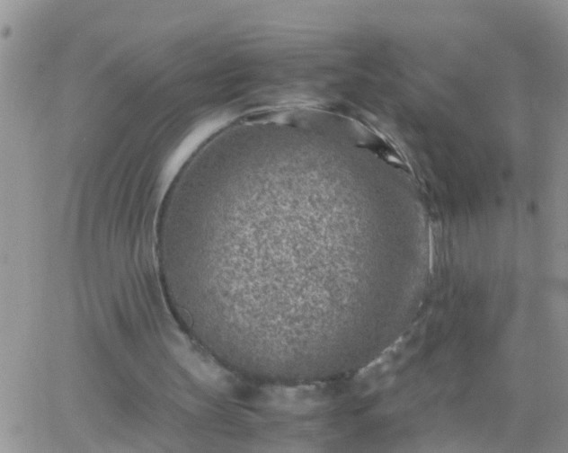 X0000065250147200602242058