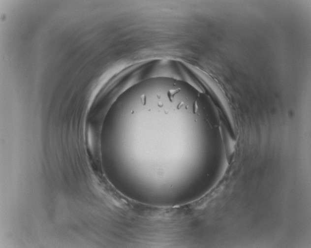 X0000065250148200602242058