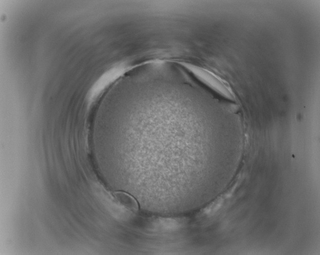 X0000065250149200602242058