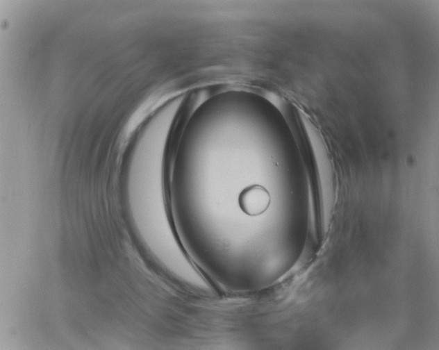 X0000065250150200602242058