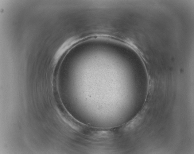 X0000065250151200602242058