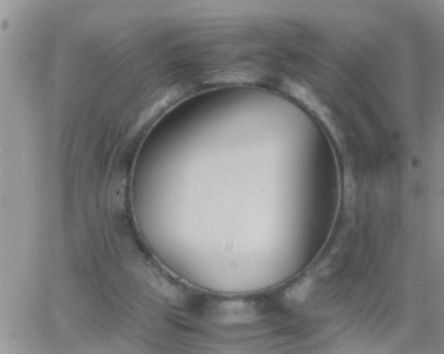 X0000065250153200602242058