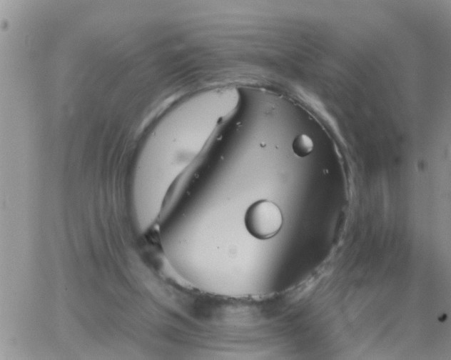 X0000065250154200602242058