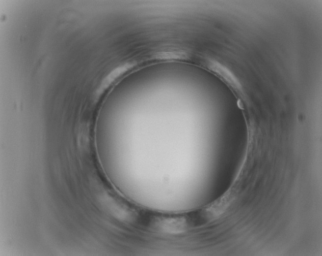 X0000065250155200602242058