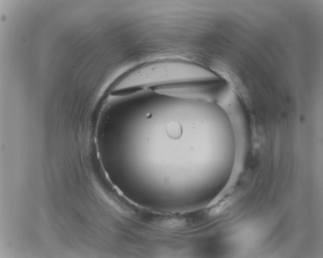 X0000065250156200602242058