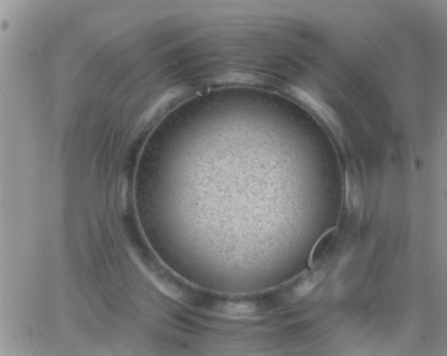 X0000065250157200602242058