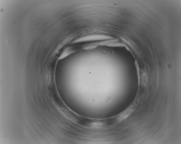 X0000065250158200602242058