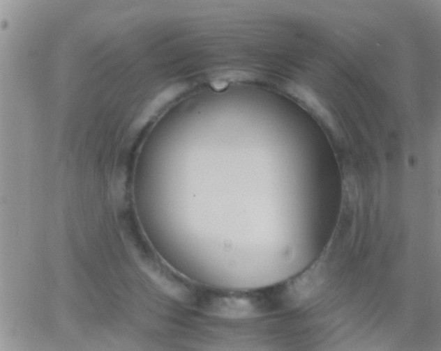 X0000065250159200602242058