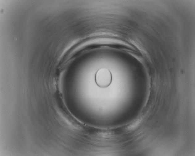 X0000065250160200602242058