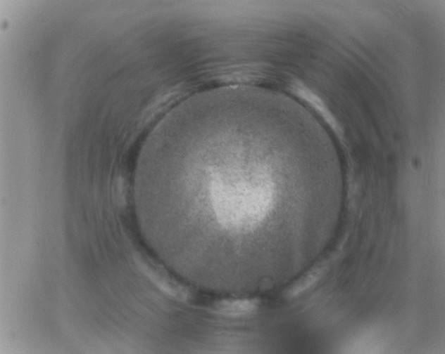 X0000065250161200602242058