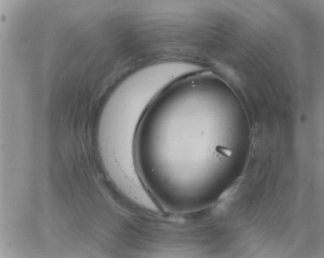 X0000065250162200602242058