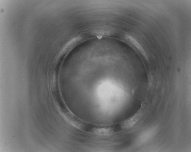 X0000065250163200602242058