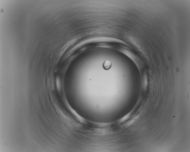 X0000065250164200602242058