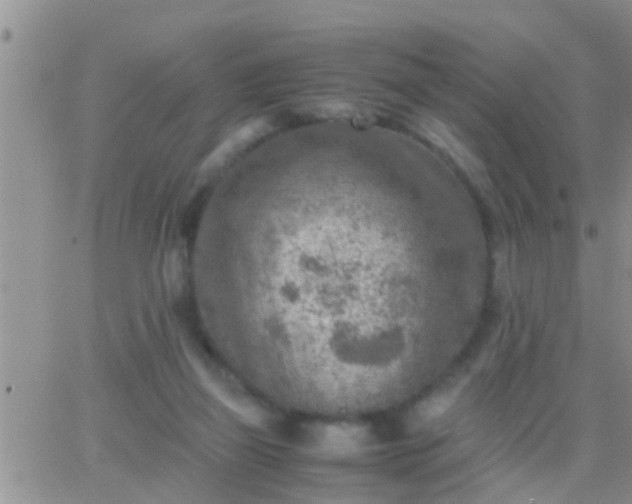 X0000065250165200602242058