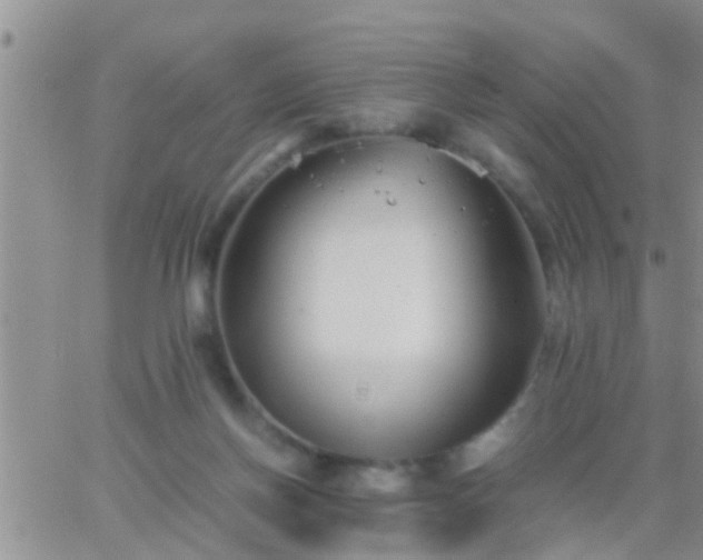 X0000065250166200602242058