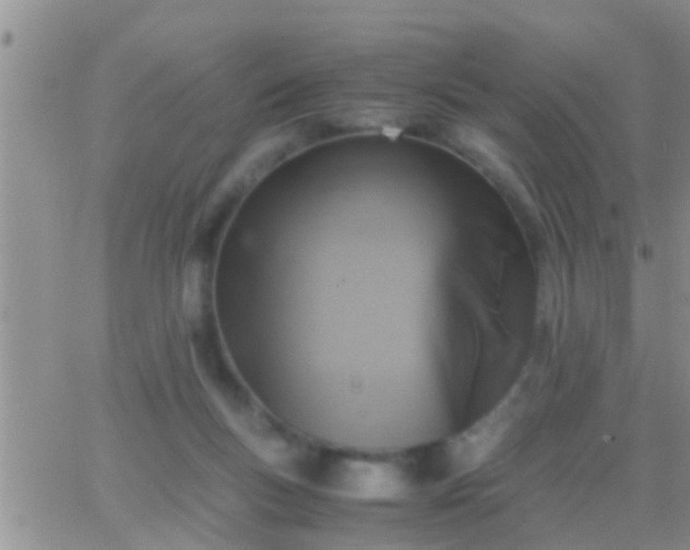 X0000065250167200602242058