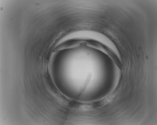 X0000065250168200602242058