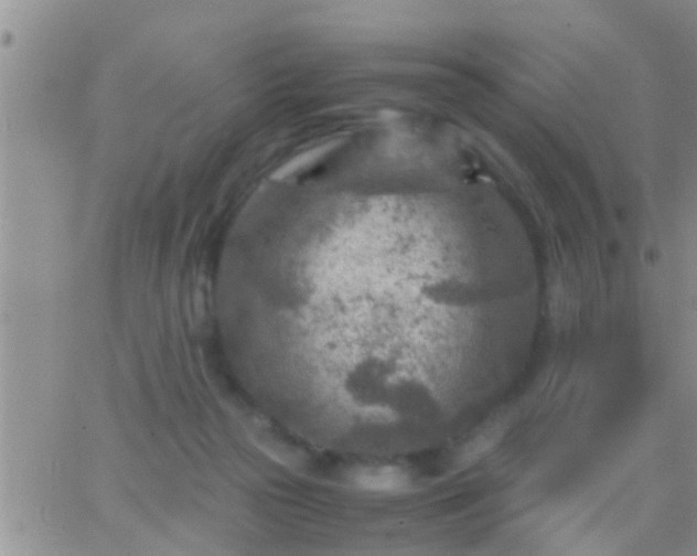 X0000065250169200602242058