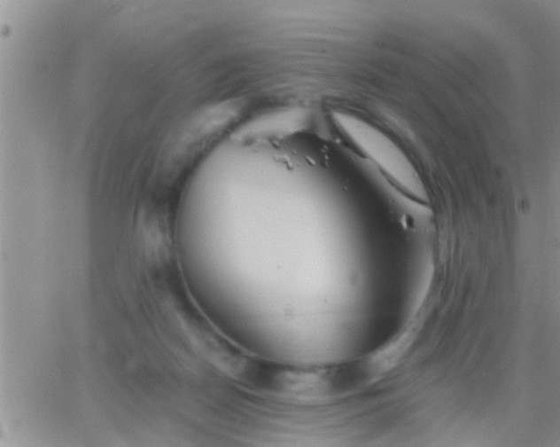 X0000065250170200602242058