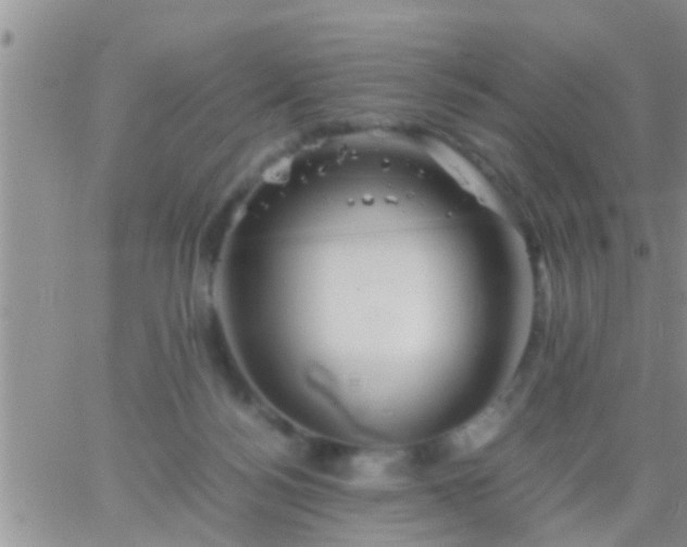 X0000065250172200602242058