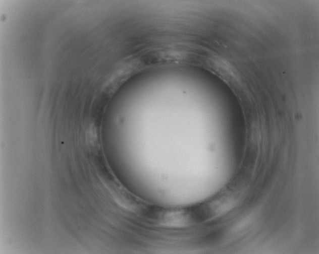 X0000065250173200602242059