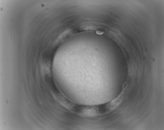 X0000065250175200602242059