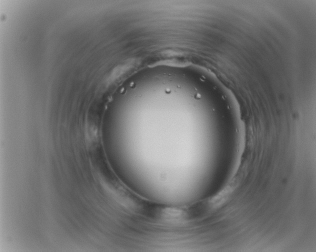 X0000065250176200602242059