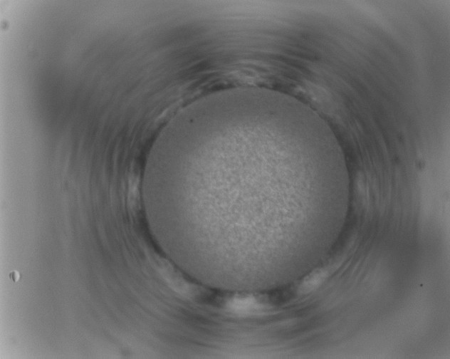 X0000065250177200602242059