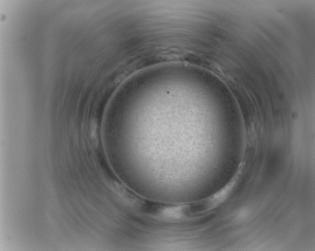 X0000065250178200602242059