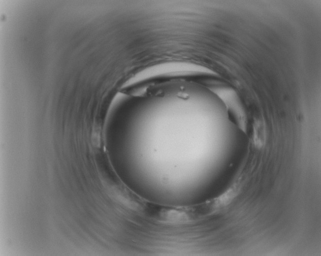 X0000065250180200602242059