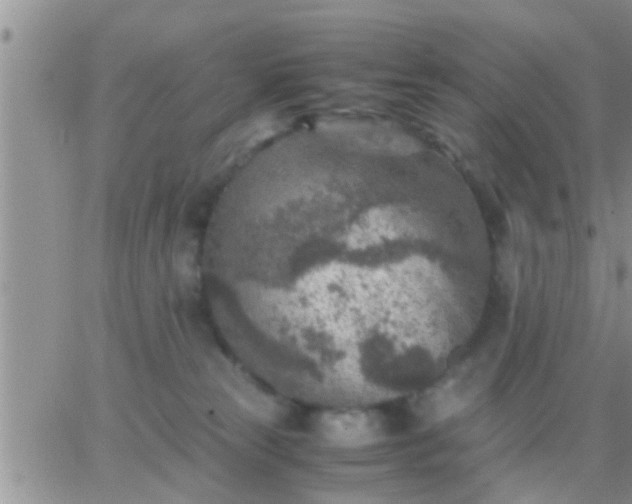 X0000065250181200602242059