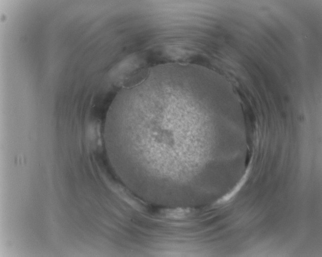 X0000065250182200602242059