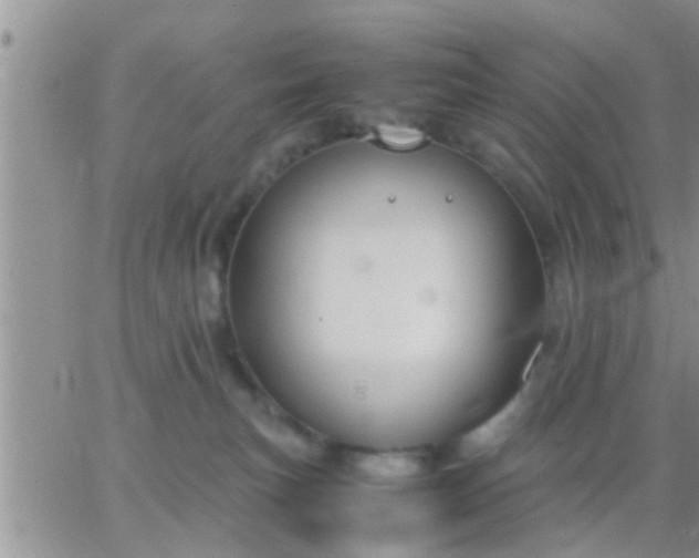 X0000065250183200602242059