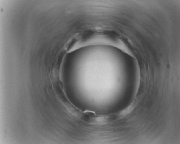 X0000065250184200602242059