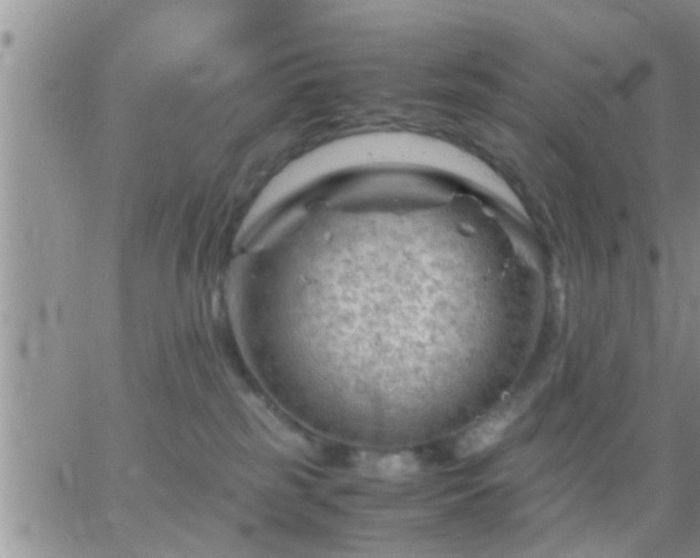 X0000065250185200602242059