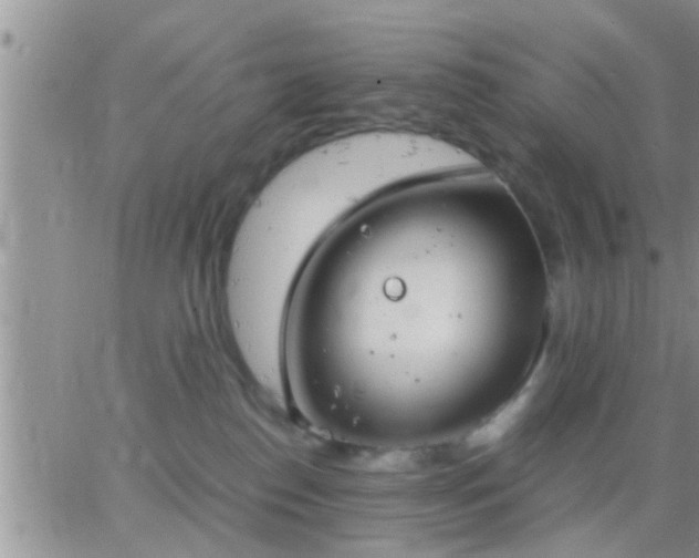 X0000065250186200602242059