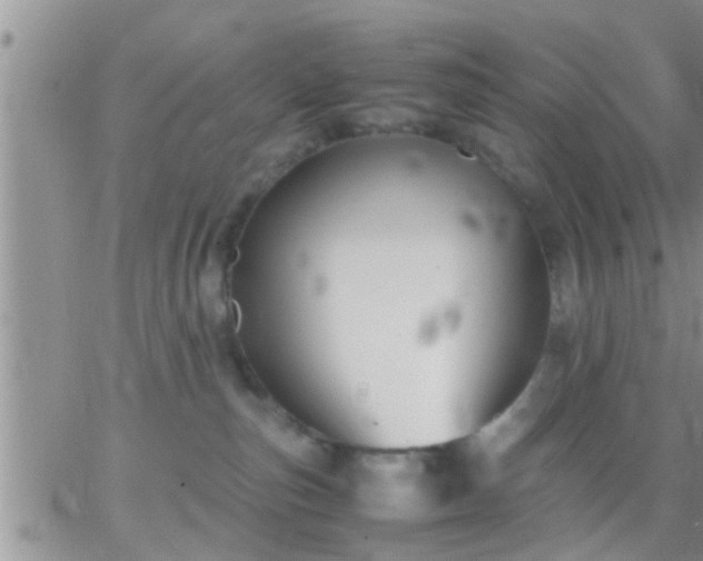 X0000065250187200602242059