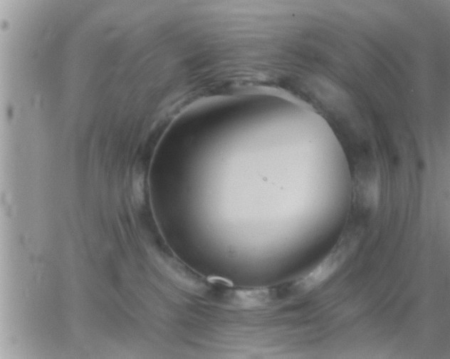 X0000065250188200602242059